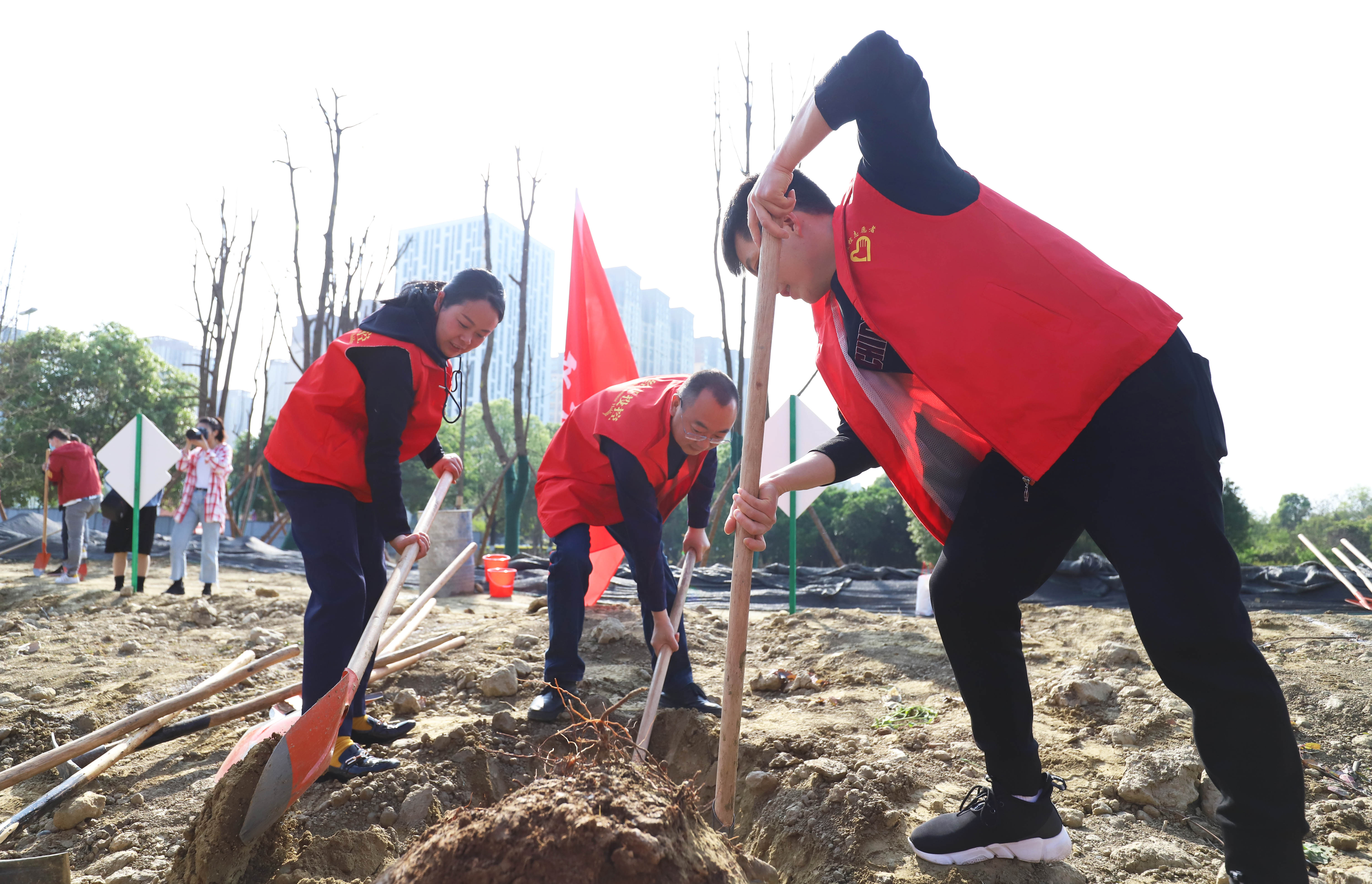 植树1.jpg 植树1.jpg