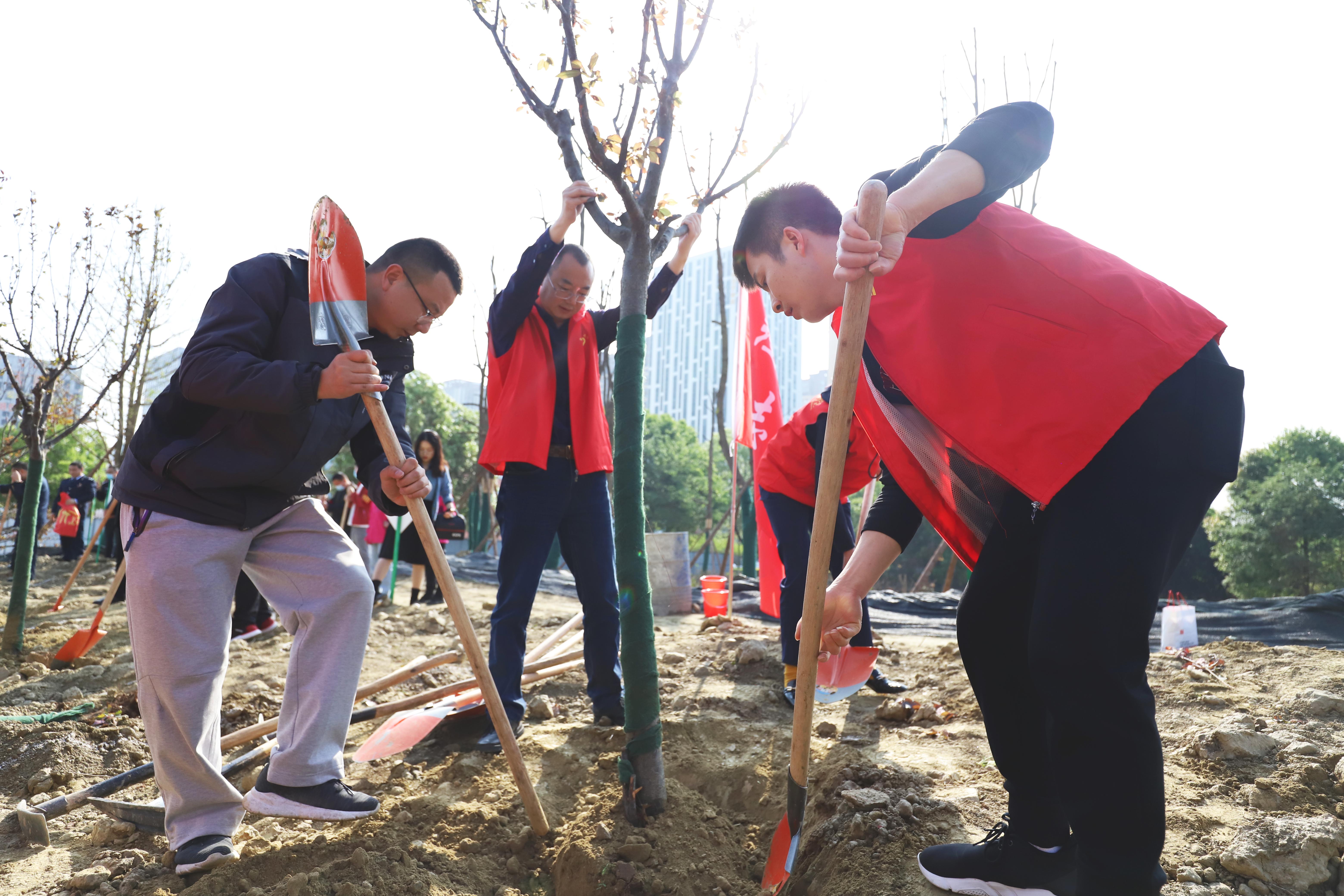 植树2.jpg 植树2.jpg