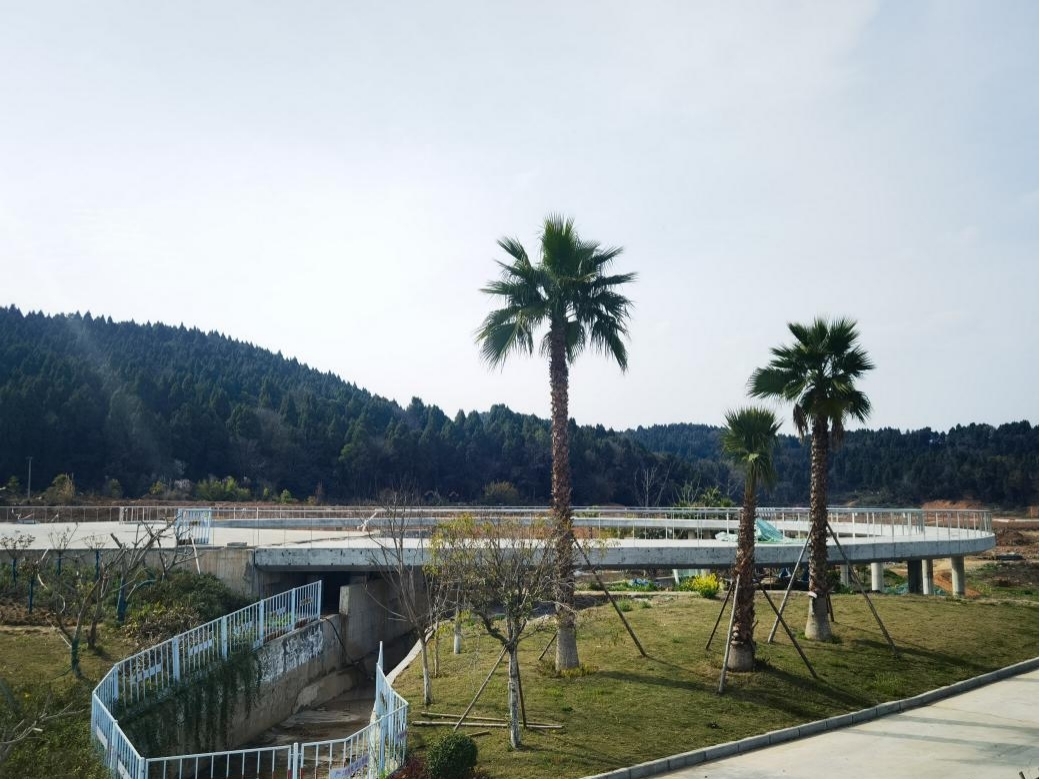 森林公园4.jpg
